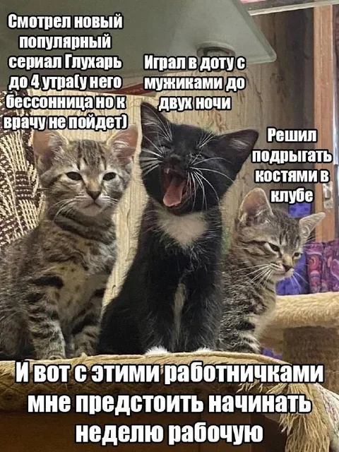 Начинать рабочую неделю