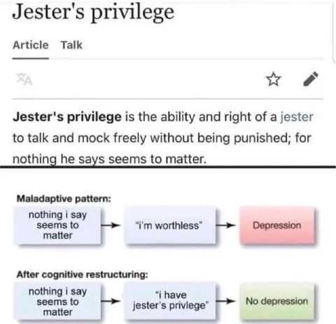 Jester's Privilege Cognitive Restructuring