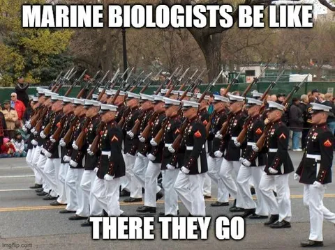 Marine Biologists Be Like