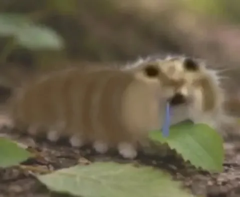 Хомяк с листиком