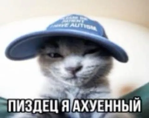 Пиздец, я ахуенный кот