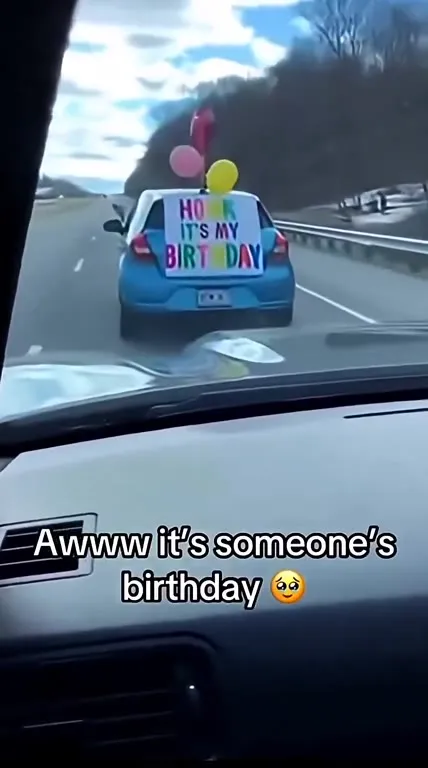 Honk It's My Birthday