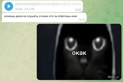 Кот отвечает «окак»