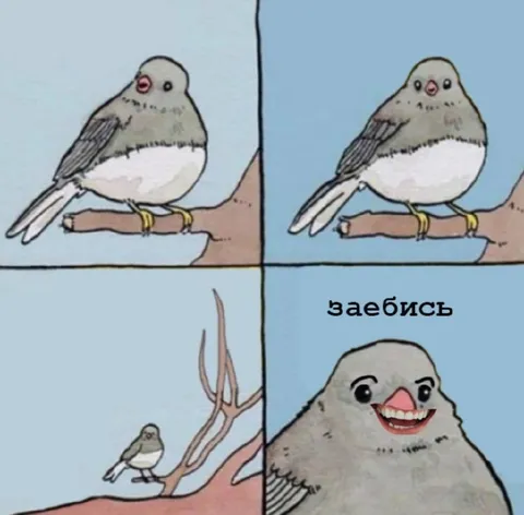 Птичка говорит «заебись»