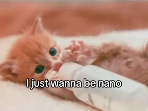 Tiny Cats Want to Be Smaller