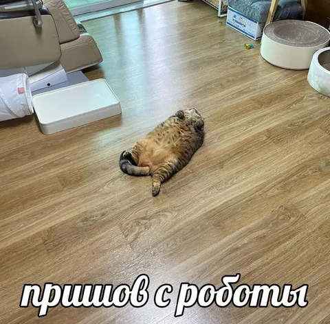 Пришол с работы
