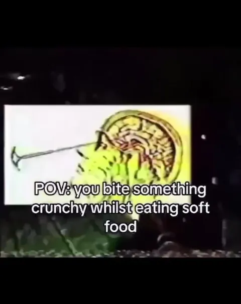 Crunchy Bite in Soft Food