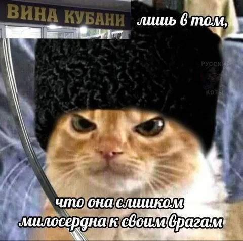 Кубанская вина и милосердие