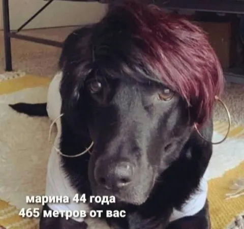 Марина 44 года рядом