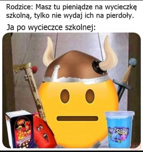 Pieniądze po wycieczce szkolnej
