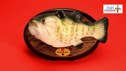 Поющий весёлый карп
