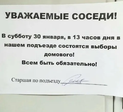 Выборы домового в подъезде