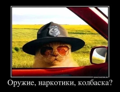 Оружие, наркотики, колбаска?