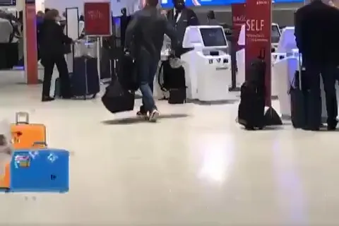 Котёнок летит в Америку