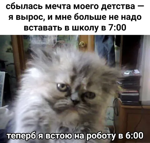 Мечта не вставать в школу