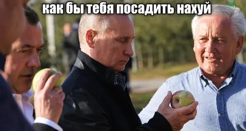 Как бы тебя посадить нахуй