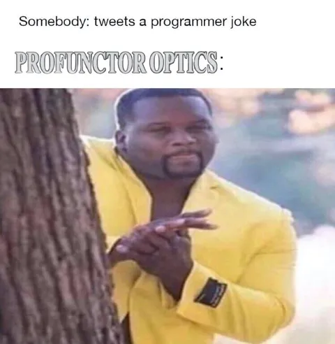 Profunctor Optics Programmer Joke