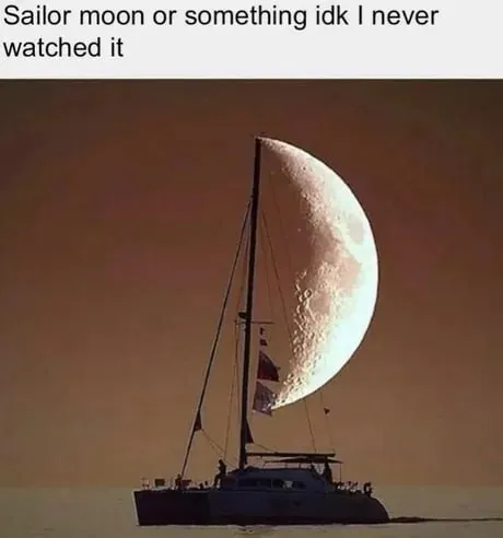 Sailor Moon or Something