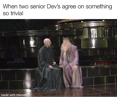 Senior Devs Agree on Something Trivial