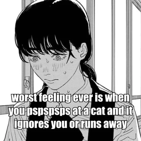 When the Cat Ignores You