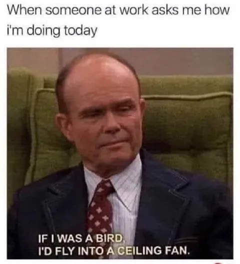 Fly Into a Ceiling Fan