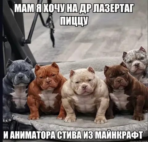 Мам, я хочу на день рождения