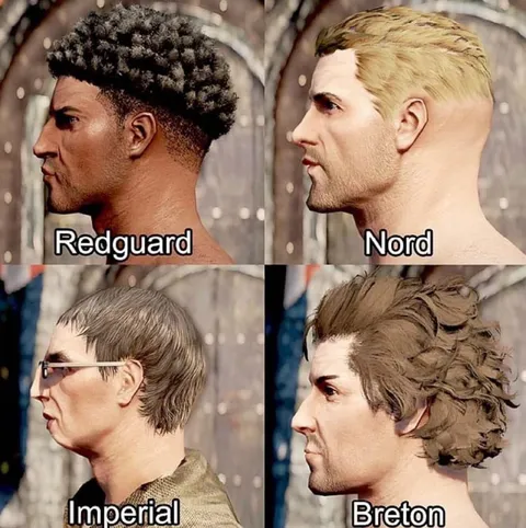 Skyrim Race Hairstyles