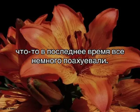 Все немного поахуевали