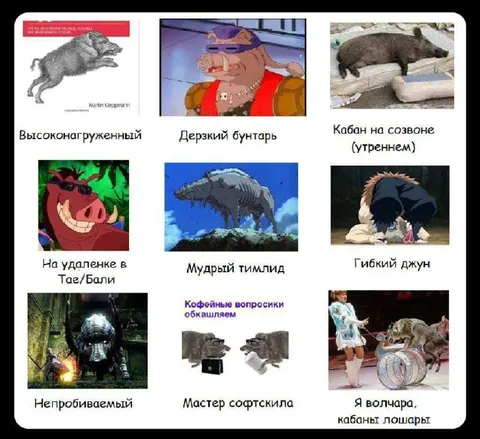 Кабаны из IT-офиса