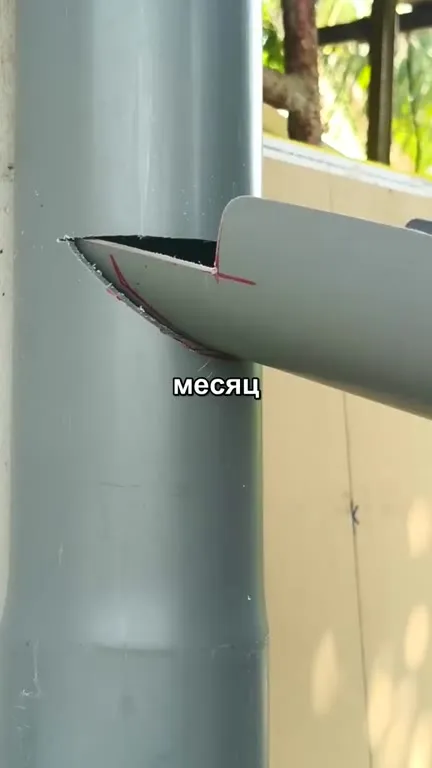 Месяц доступно говорю полностью