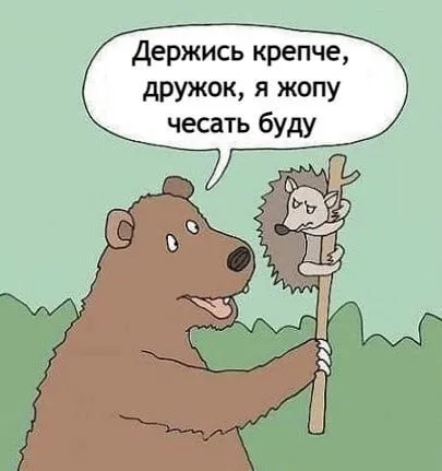 Медведь чешет жопу ёжиком