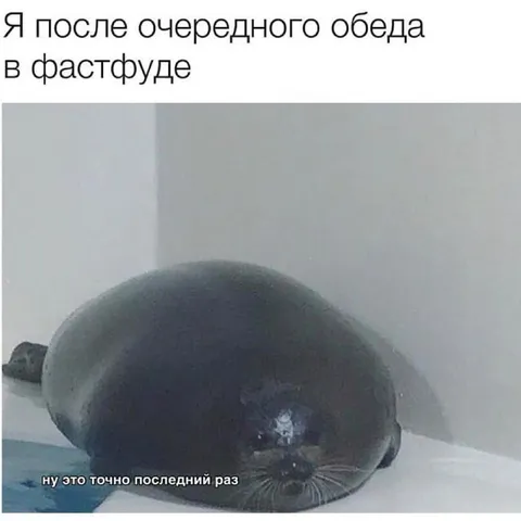 После обеда в фастфуде