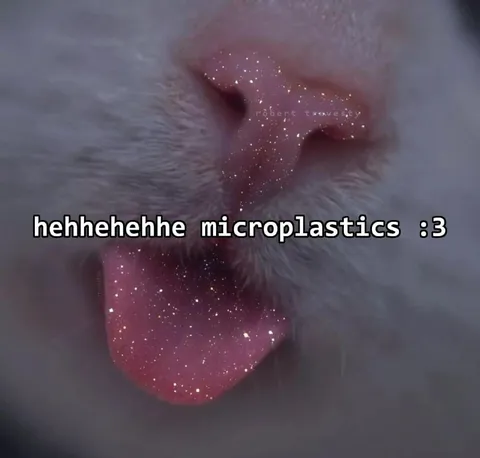 Cat Tongue Microplastics
