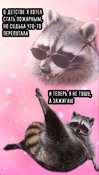 Енот хотел стать пожарным