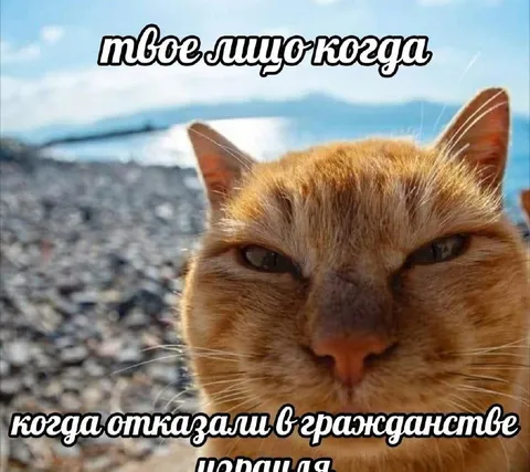 Лицо после отказа в гражданстве
