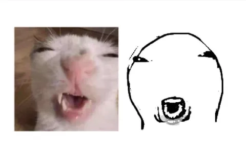 Кот с открытым ртом