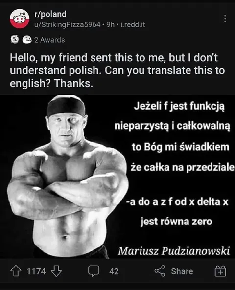 Friend Needs Polish Translation