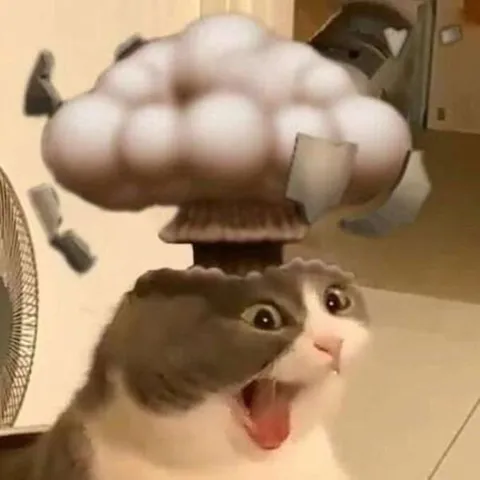 Кот в грибном облаке