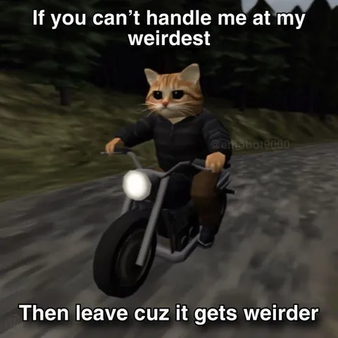 Cat Gets Weirder on Motorcycle