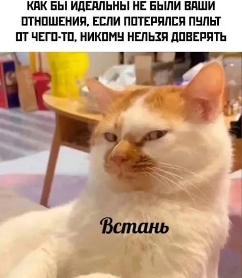 Кот, которому нельзя доверять