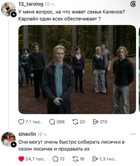 На что живёт семья Калленов