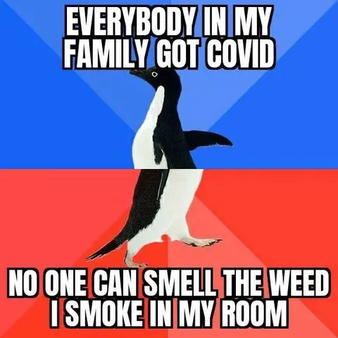Penguin Can't Smell Weed Smoke