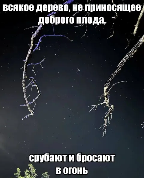 Дерево без доброго плода