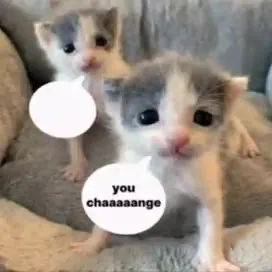 I Watched You Change