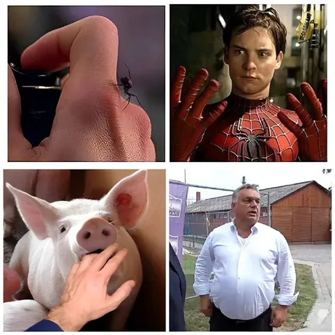Когда всё стало чужим