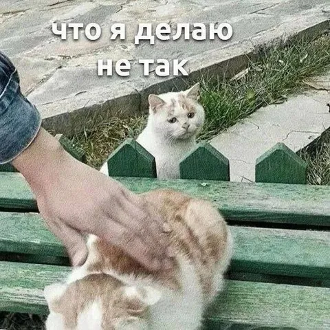Что я делаю не так