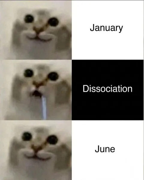 Cat Dissociates in January