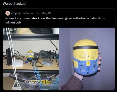 Minion Runs the Home Network