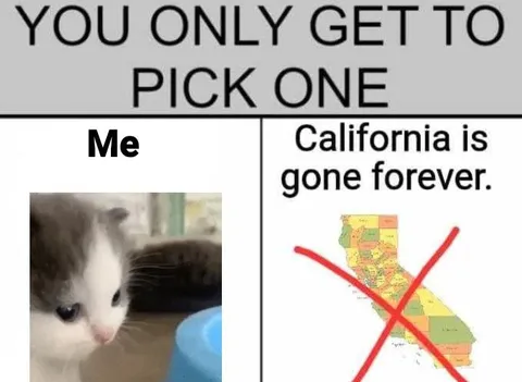 Choose Me or California