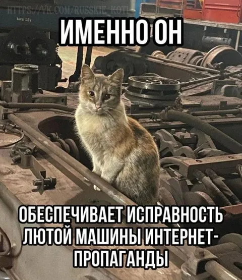 Кот чинит интернет-пропаганду